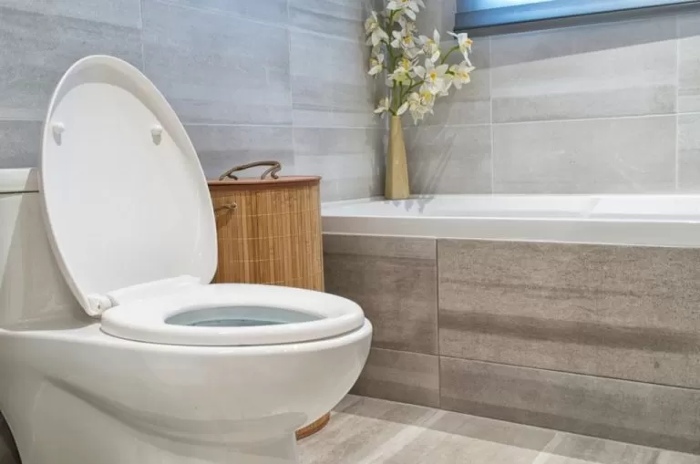 leaking toilet cistern