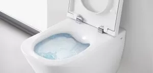 rimless toilet