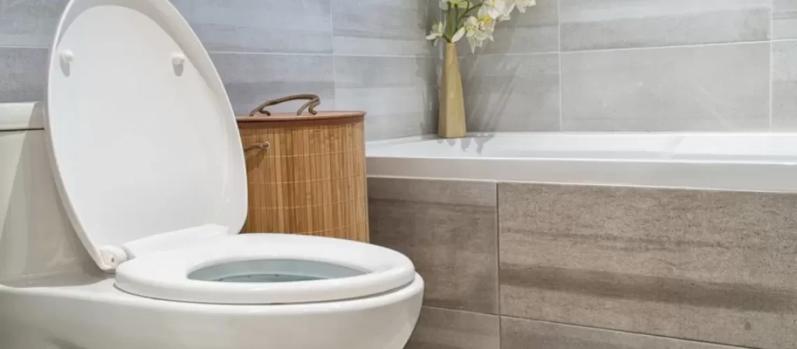 leaking toilet cistern